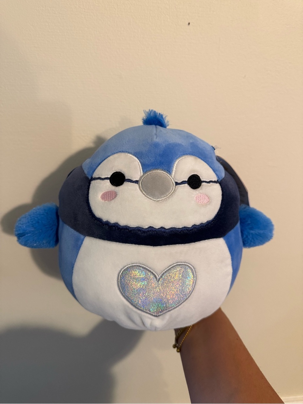 Squishmallows Babs Blue Jay Valentine’s Heart Plush NWT Tagged
